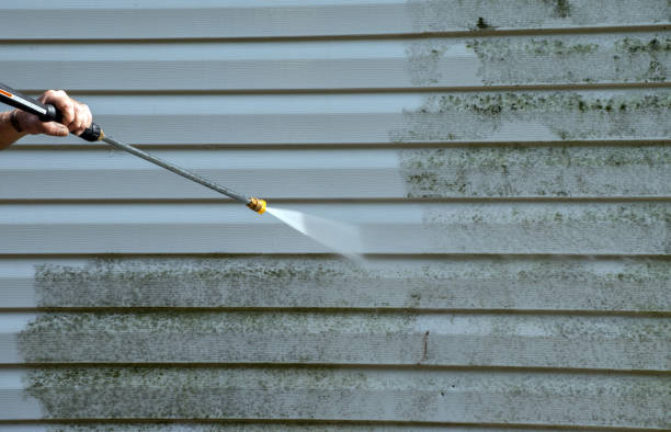 Best Brick and Stone Cleaning in Springville, NY